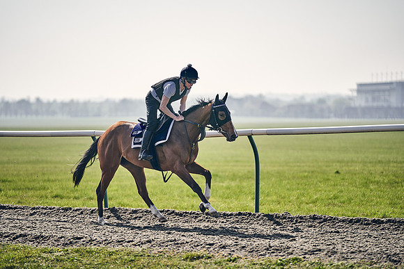 GEORGE-BOUGHEY-RACING-DJ-3364