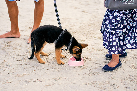 POLO-SATURDAY_2019_DomincJames_3433
