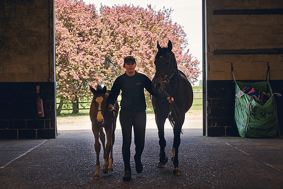 The-National-Stud-Dominic-James_DJ_4829