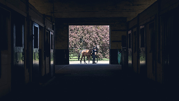 The-National-Stud-Dominic-James_DJ_4718