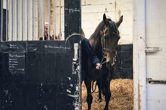 The-National-Stud-Dominic-James_DJ_4704