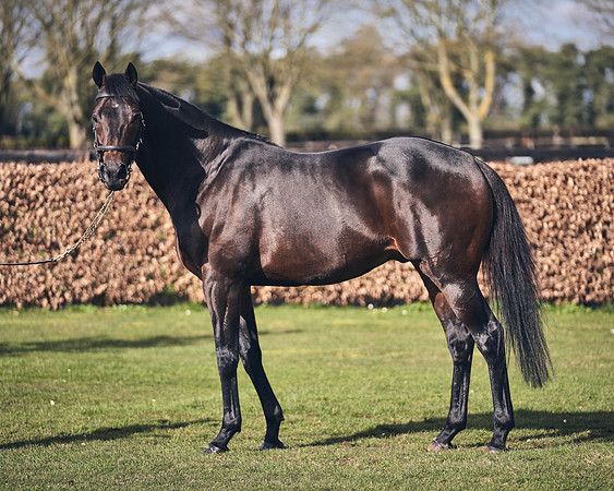 NATIONAL-STUD-TIME-TEST-DJ-_DJ70929