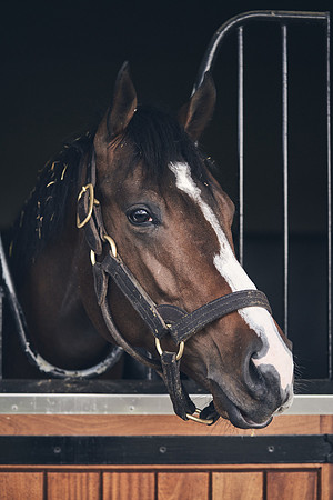 NATIONAL-STUD-TIME-TEST-DJ-_DJ71137