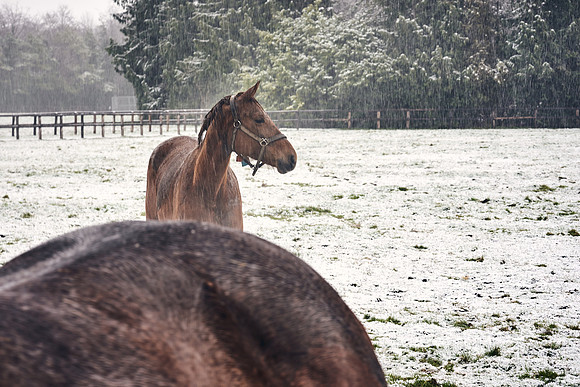 NATIONAL-STUD-27th-FEB-DJ-_DJ95079.ARW-6233