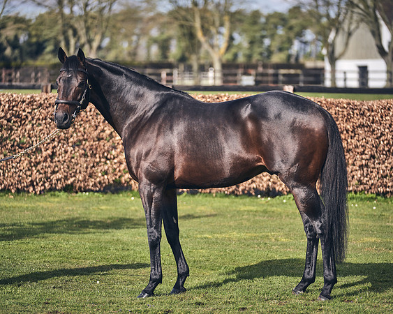 NATIONAL-STUD-TIME-TEST-DJ-_DJ70906