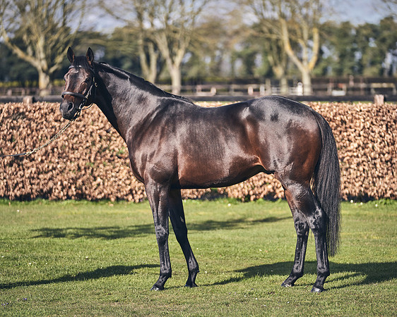 NATIONAL-STUD-TIME-TEST-DJ-_DJ70893