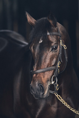 NATIONAL-STUD-TIME-TEST-DJ-_DJ71002