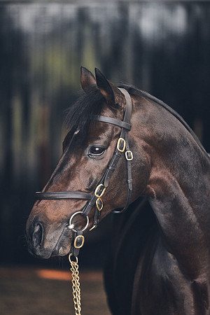 NATIONAL-STUD-TIME-TEST-DJ-_DJ71012