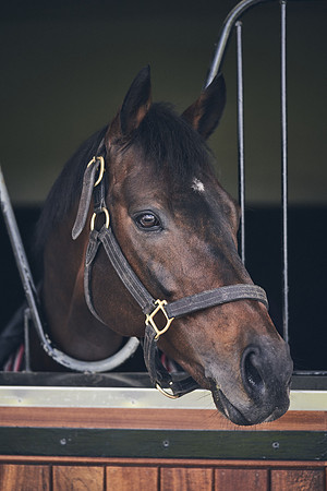 NATIONAL-STUD-TIME-TEST-DJ-_DJ71134