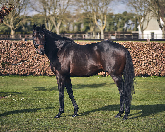 NATIONAL-STUD-TIME-TEST-DJ-_DJ70889