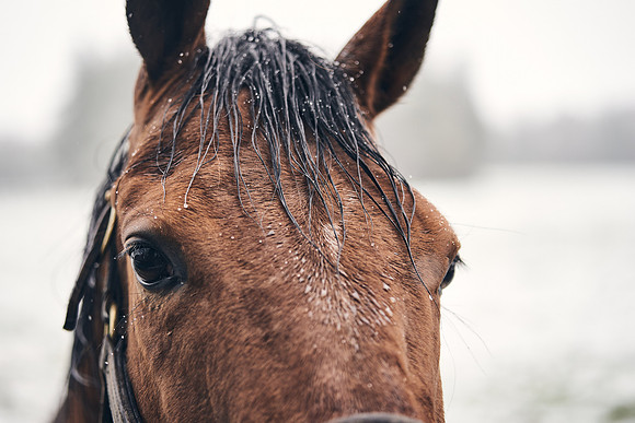 NATIONAL-STUD-27th-FEB-DJ-_DJ94987.ARW-6141