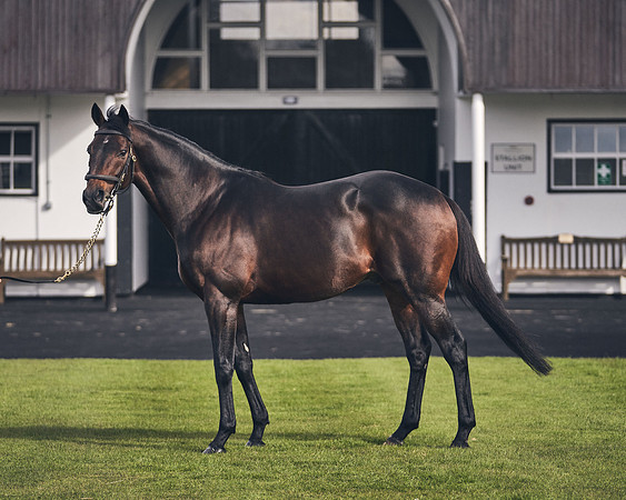NATIONAL-STUD-TIME-TEST-DJ-_DJ70937 1