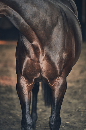 NATIONAL-STUD-TIME-TEST-DJ-_DJ71041