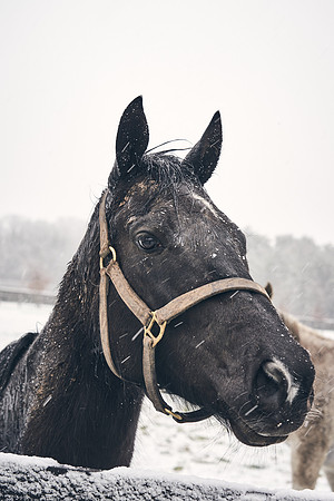 NATIONAL-STUD-27th-FEB-DJ-_DJ94272.ARW-5426