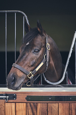 NATIONAL-STUD-TIME-TEST-DJ-_DJ71124