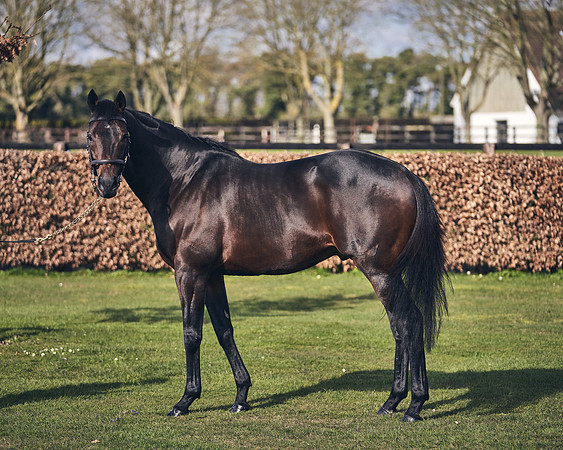 NATIONAL-STUD-TIME-TEST-DJ-_DJ70890