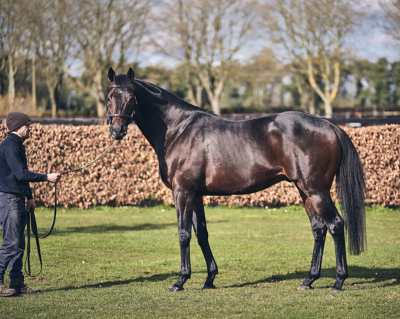 NATIONAL-STUD-TIME-TEST-DJ-_DJ70924