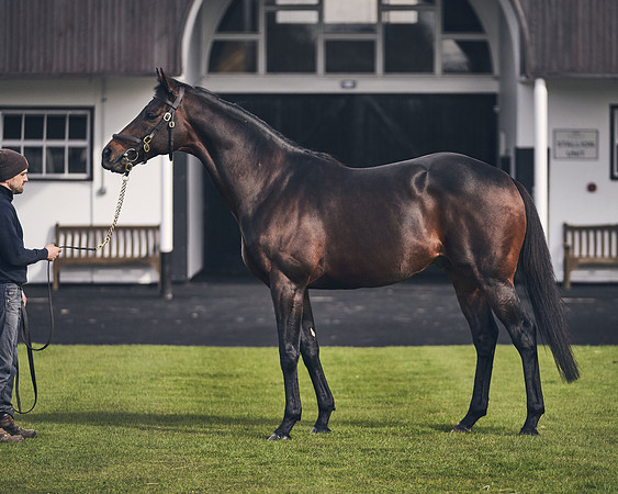 NATIONAL-STUD-TIME-TEST-DJ-_DJ70940