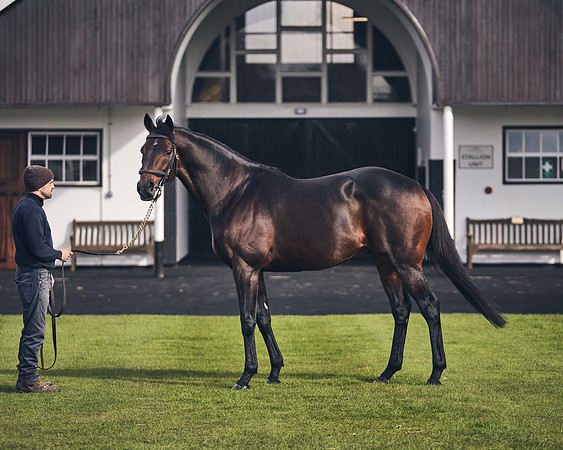 NATIONAL-STUD-TIME-TEST-DJ-_DJ70937