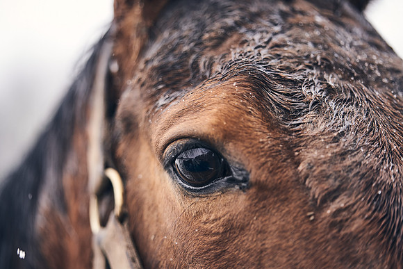NATIONAL-STUD-27th-FEB-DJ-_DJ94983.ARW-6137