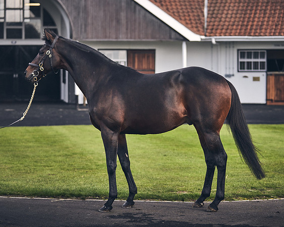 NATIONAL-STUD-TIME-TEST-DJ-_DJ70969