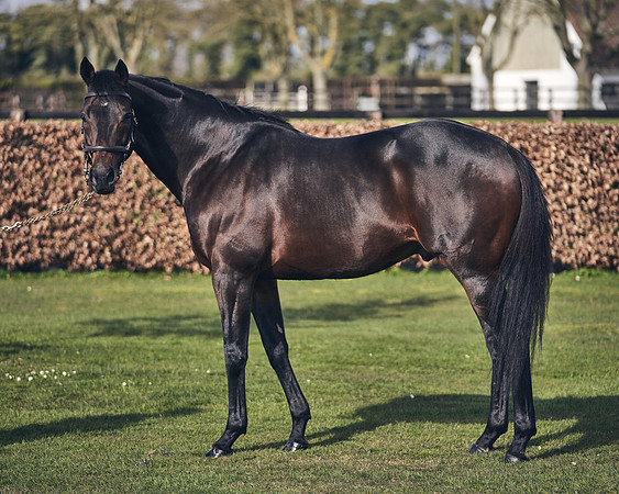 NATIONAL-STUD-TIME-TEST-DJ-_DJ70891