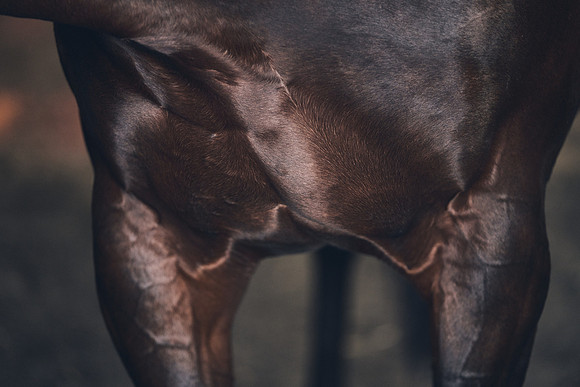 NATIONAL-STUD-TIME-TEST-DJ-_DJ71101