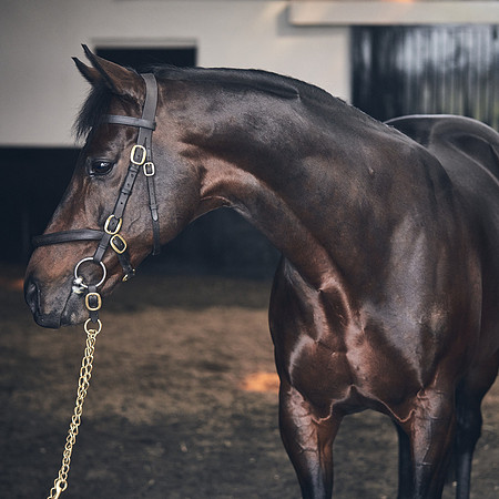 NATIONAL-STUD-TIME-TEST-DJ-_DJ71072