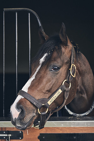 NATIONAL-STUD-TIME-TEST-DJ-_DJ71138