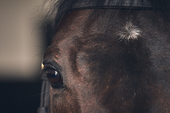 NATIONAL-STUD-TIME-TEST-DJ-_DJ71086