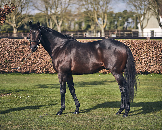 NATIONAL-STUD-TIME-TEST-DJ-_DJ70888