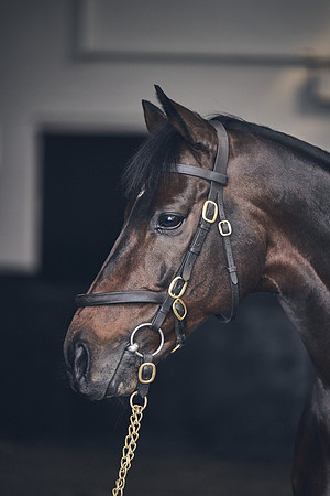NATIONAL-STUD-TIME-TEST-DJ-_DJ71080
