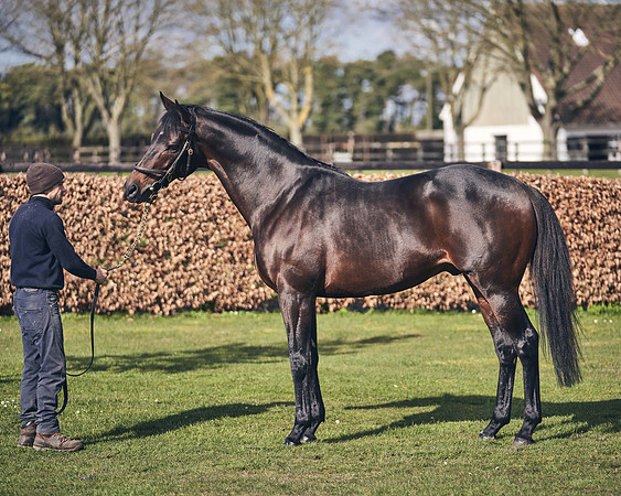 NATIONAL-STUD-TIME-TEST-DJ-_DJ70898