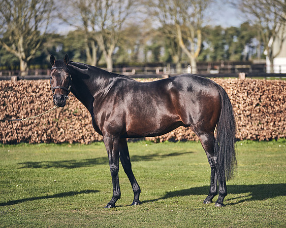 NATIONAL-STUD-TIME-TEST-DJ-_DJ70896