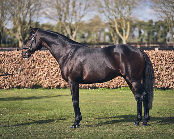 NATIONAL-STUD-TIME-TEST-DJ-_DJ70921