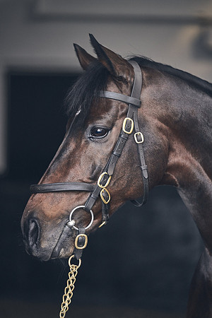 NATIONAL-STUD-TIME-TEST-DJ-_DJ71079