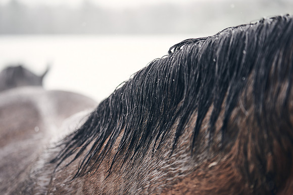 NATIONAL-STUD-27th-FEB-DJ-_DJ94929.ARW-6083