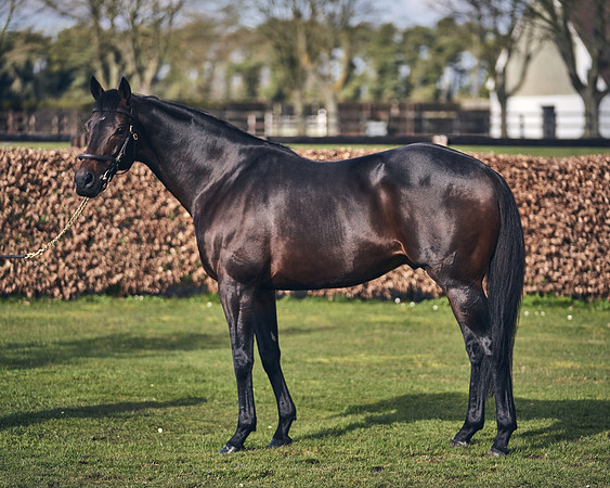 NATIONAL-STUD-TIME-TEST-DJ-_DJ70908