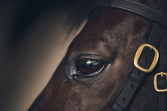 NATIONAL-STUD-TIME-TEST-DJ-_DJ71082