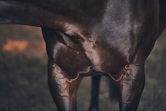 NATIONAL-STUD-TIME-TEST-DJ-_DJ71098
