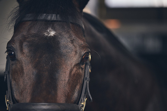 NATIONAL-STUD-TIME-TEST-DJ-_DJ71085
