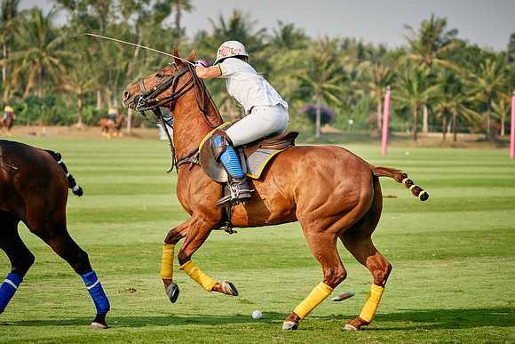 THAI-PINK-POLO-2020-Dominic-James_DJ94566.ARW-10088