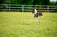 2025-06-09-Dominic-James-00270