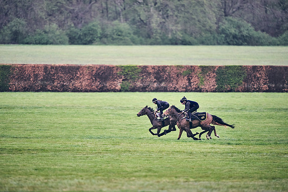HORSES-IN-TRAINING-18TH-APR-DJ-0680