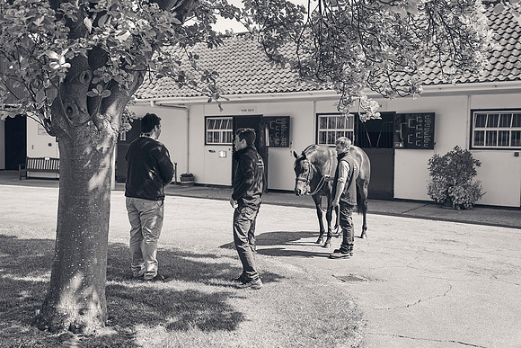 The-National-Stud-Dominic-James_DJ_3504
