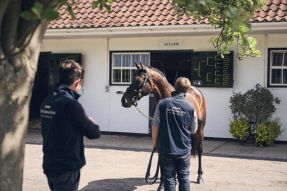 The-National-Stud-Dominic-James_DJ_3515