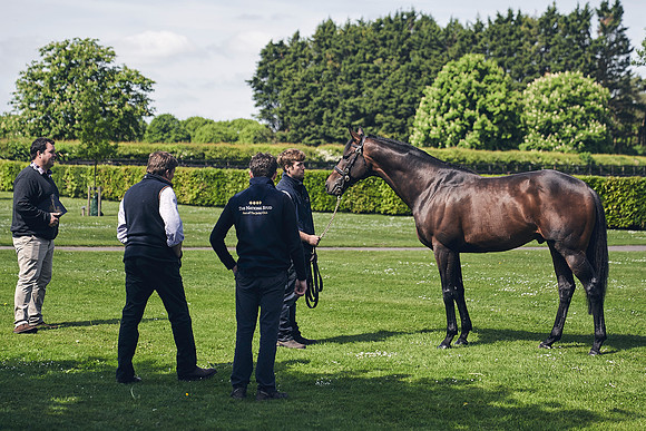 The-National-Stud-Dominic-James_DJ_3612