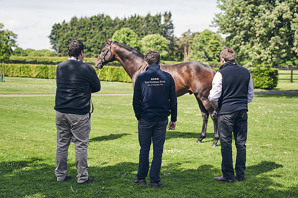 The-National-Stud-Dominic-James_DJ_3622