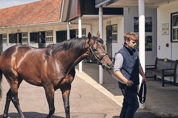 The-National-Stud-Dominic-James_DJ_3633