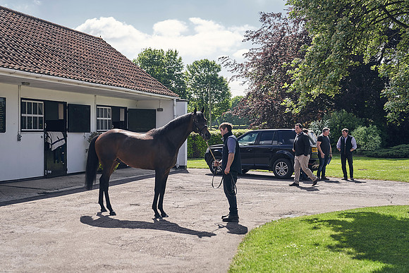 The-National-Stud-Dominic-James_DJ_3484